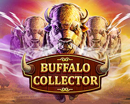 Buffalo Collector